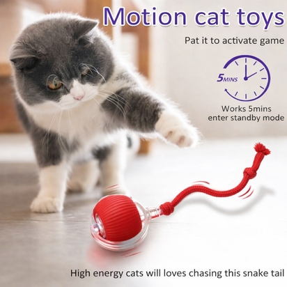 Self-Rolling Cat Toy Ball