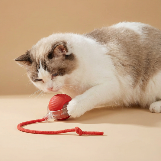 Self-Rolling Cat Toy Ball