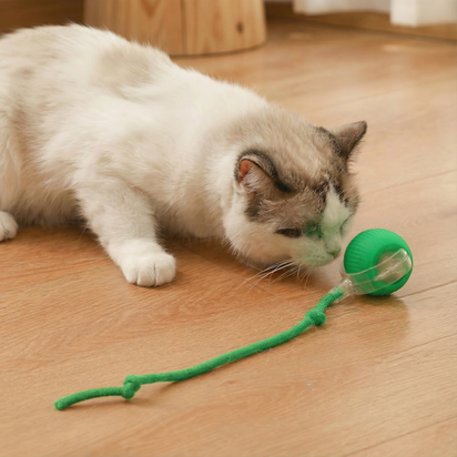 Self-Rolling Cat Toy Ball