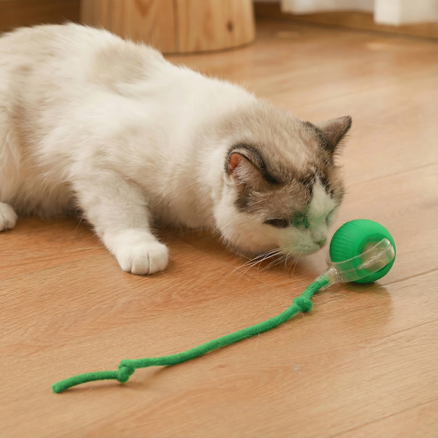 Self-Rolling Cat Toy Ball
