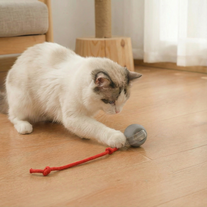 Self-Rolling Cat Toy Ball