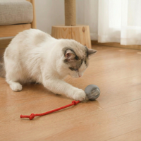 Self-Rolling Cat Toy Ball