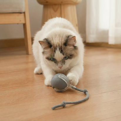 Self-Rolling Cat Toy Ball