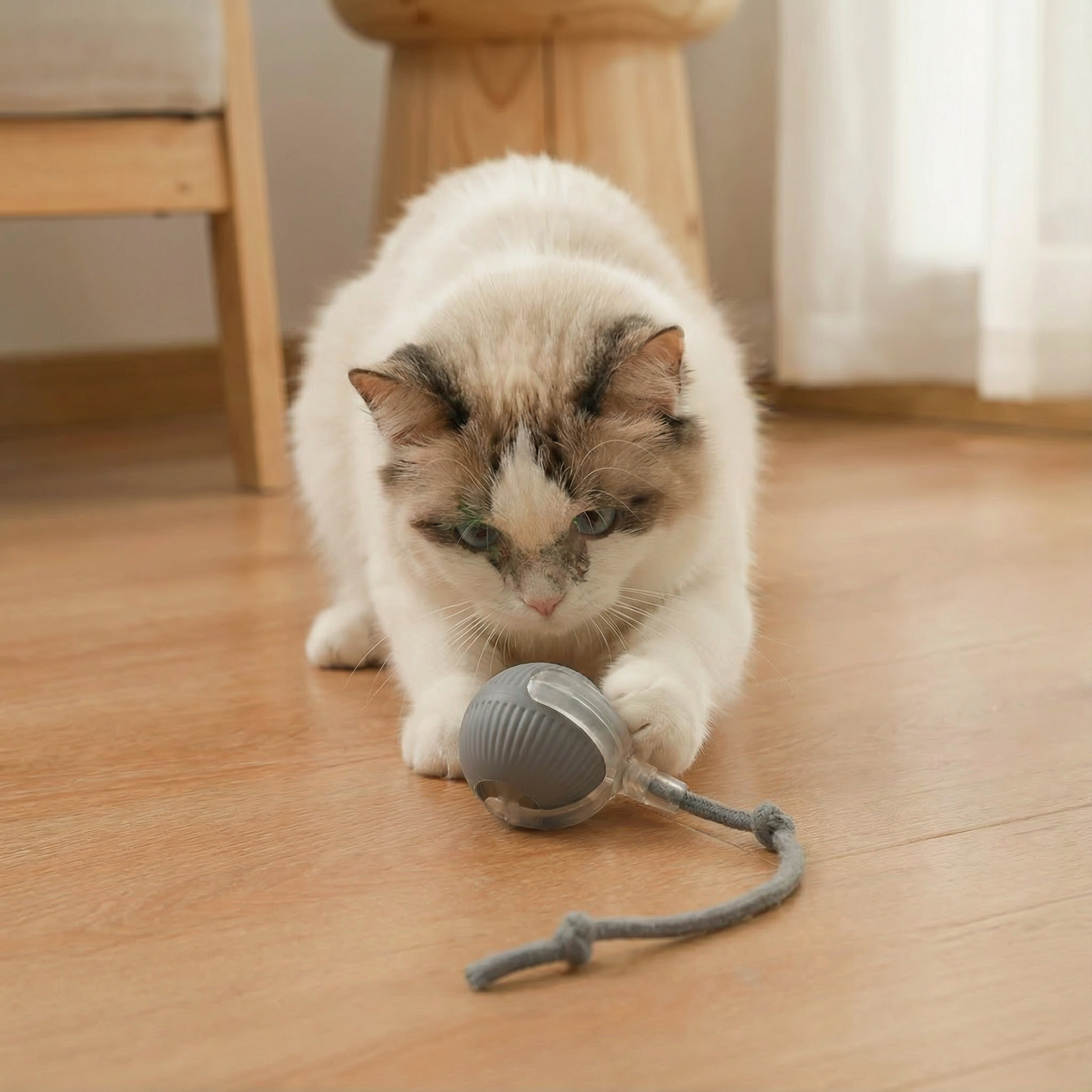 Self-Rolling Cat Toy Ball