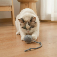 Self-Rolling Cat Toy Ball